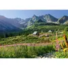 Image de Puzzle 1000 piÃ¨ces :  Gąsienicowa hall dans les Tatras