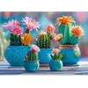 Image de Puzzle 1000 pièces : Feu d'artifice Cactus Bloomy Timaro-30868