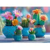 Image de Puzzle 1000 pièces : Feu d'artifice Cactus Bloomy