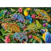 Image de Puzzle 2000 pièces : Caméléons étonnants Timaro-50101