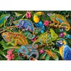 Image de Puzzle 2000 piÃ¨ces : CamÃ©lÃ©ons Ã©tonnants