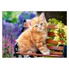 Image de Puzzle 180 piÃ¨ces : Chaton sur un banc