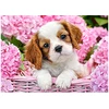 Image de Puzzle 180 pièces : Chiot dans les fleurs roses Castorland-018185