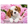 Image de Puzzle 180 piÃ¨ces : Chiot dans les fleurs roses