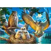 Image de Puzzle 180 pièces : Famille de chouettes Castorland-B-018437
