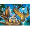 Image de Puzzle 180 piÃ¨ces : Famille de chouettes