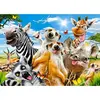 Image de Puzzle 260 piÃ¨ces : Selfie Africain
