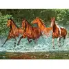 Image de Puzzle 300 pièces : Chevauchée dans l'eau Castorland-B-030361