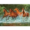 Image de Puzzle 300 piÃ¨ces : ChevauchÃ©e dans l'eau