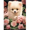 Image de Puzzle 300 pièces : Chiot de Poméranie premium dans les roses B-030552