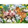 Image de Puzzle 40 pièces maxi : Amis de la Ferme Castorland-B-040339-1