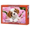 Image de Puzzle 500 piÃ¨ces : Chiot au milieu des fleurs
