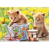 Image de Puzzle 500 pièces : Le temps d'un thé Castorland-52356