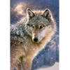 Image de Puzzle 500 pièces : Loup solitaire Castorland-52431