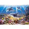 Image de Puzzle 500 piÃ¨ces - Le monde des dauphins