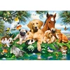 Image de Puzzle 500 piÃ¨ces : Copains d'Ã©tÃ©