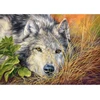 Image de Puzzle 500 piÃ¨ces : Ãme pure