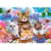 Image de Puzzle 500 pièces : Chatons avec des Fleurs Castorland-B-53513