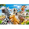 Image de Puzzle 500 pièces : Selfie Africain Castorland-B-53568