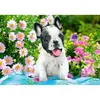 Image de Puzzle 500 piÃ¨ces : Chiot Bouledogue FranÃ§ais
