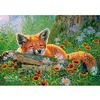 Image de Puzzle 500 pièces : Rêves rusés Castorland-B-53872