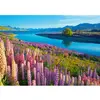 Image de Puzzle 500 pièces : Lac Tekapo, Nouvelle-Zélande Castorland-B-53896