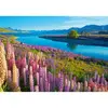 Image de Puzzle 500 piÃ¨ces : Lac Tekapo, Nouvelle-ZÃ©lande
