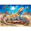 Image de Puzzle 500 pièces : Le Roi Lézard B-54206