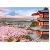 Image de Puzzle 500 pièces : Le printemps au Japon