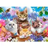 Image de Puzzle 70 pièces : Chatons avec des fleurs Castorland-B-070107