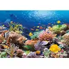 Image de Puzzle 1000 pièces - Récif de corail Castorland-101511