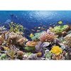 Image de Puzzle 1000 piÃ¨ces - RÃ©cif de corail