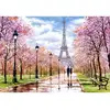 Image de Puzzle 1000 pièces : Une romantique balade dans Paris Castorland-C-104369-2