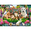 Image de Puzzle 1000 pièces : Les animaux au parc Castorland-C-104406-2
