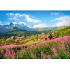Image de Puzzle 1000 piÃ¨ces : Hala Gasienicowa, Tatras, Pologne