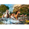 Image de Puzzle 1000 pièces : Chevaux au Pays des Merveilles Castorland-C-104789-2