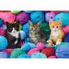 Image de Puzzle 1000 piÃ¨ces : Chatons dans le magasin de laine