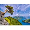 Image de Puzzle 1000 pièces : Vue du lac d'Uri, Suisse C-105311-2