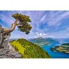 Image de Puzzle 1000 piÃ¨ces : Vue du lac d'Uri, Suisse