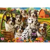 Image de Puzzle 1000 pièces : Chiens heureux à la campagne C-105410-2