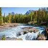 Image de Puzzle 1500 pièces - Rivière Athabasca, parc national de Jasper : Canada Castorland-150762
