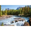 Image de Puzzle 1500 piÃ¨ces - RiviÃ¨re Athabasca, parc national de Jasper : Canada