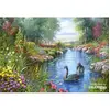 Image de Puzzle 1500 piÃ¨ces - Andres Orpinas : Les cygnes noirs
