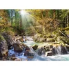 Image de Puzzle 2000 pièces - Le ruisseau de la forêt Castorland-200382