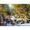Image de Puzzle 2000 piÃ¨ces - Le ruisseau de la forÃªt
