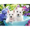 Image de Puzzle 200 pièces : Chiot Westie Castorland-B-222032