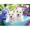Image de Puzzle 200 piÃ¨ces : Chiot Westie