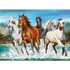 Image de Puzzle 200 pièces : Appel de la nature Castorland-B-222056