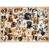 Image de Puzzle 200 pièces : Collage avec des Chiens