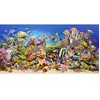 Image de Puzzle 4000 pièces : Vie sous-marine Castorland-400089